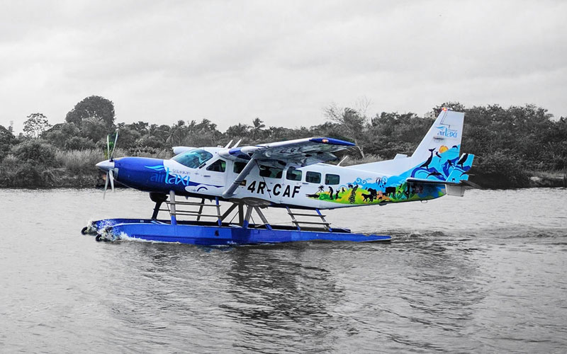 Luxury Coaches for Small Groups